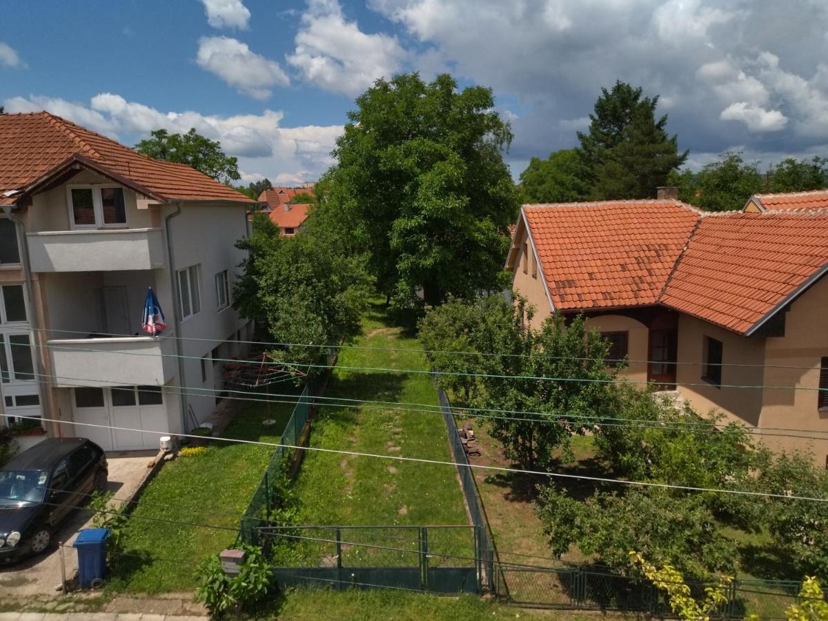 Vila Lenka Sokobanja Exterior photo