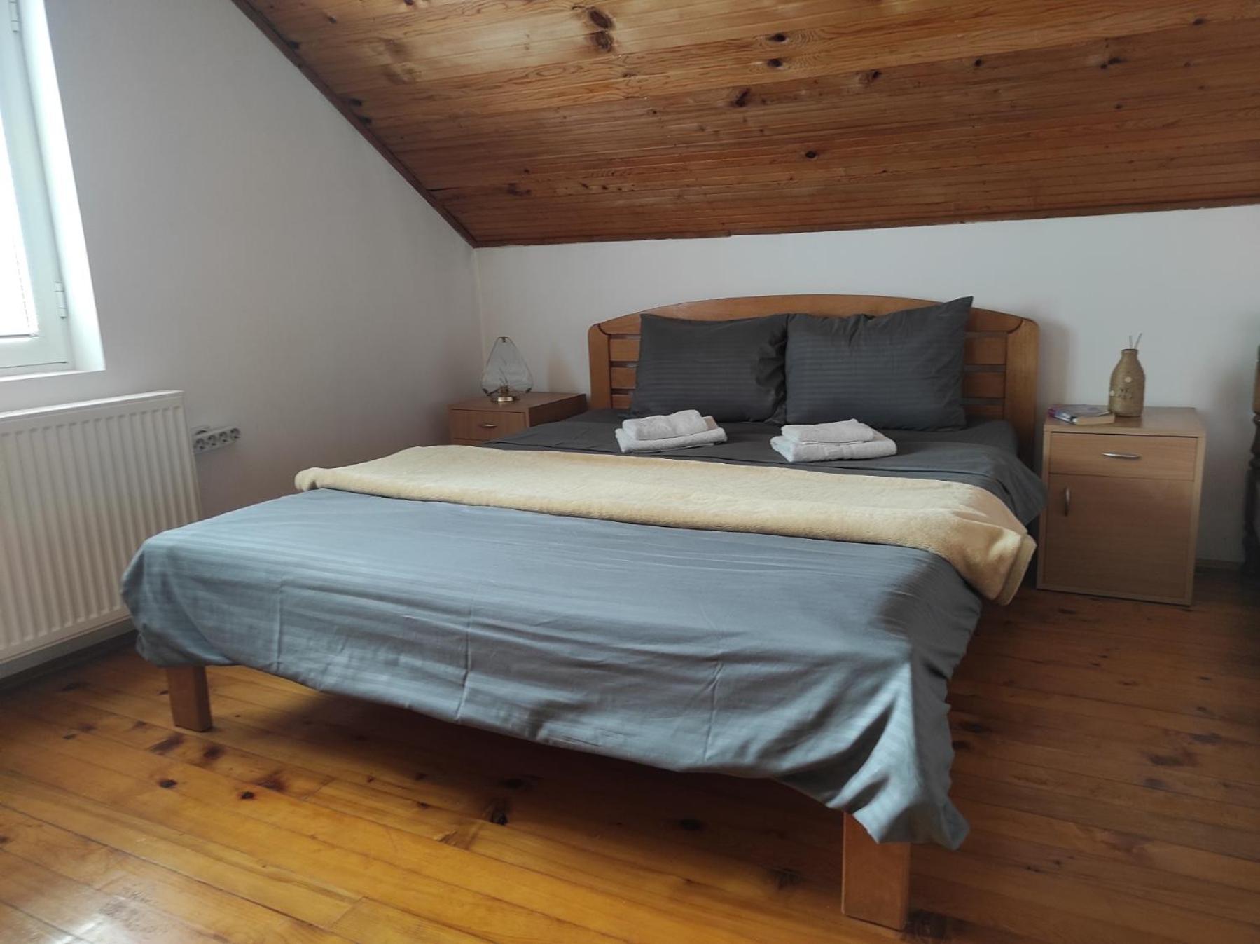 Vila Lenka Sokobanja Room photo