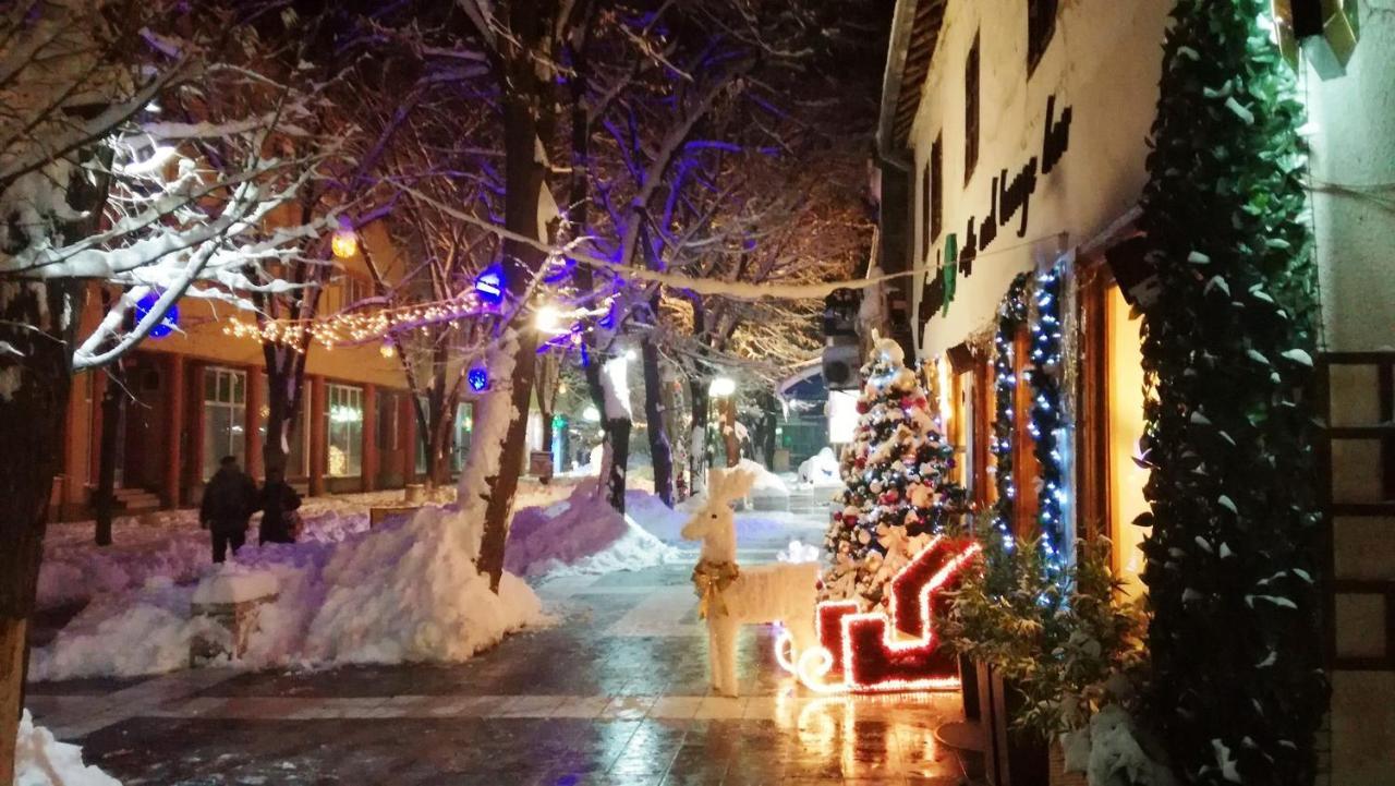 Vila Lenka Sokobanja Exterior photo